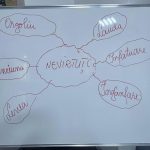 452592677_540681051618099_5310690027118283468_n